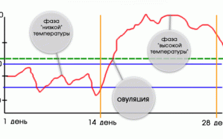 Какая базальная температура перед месячными