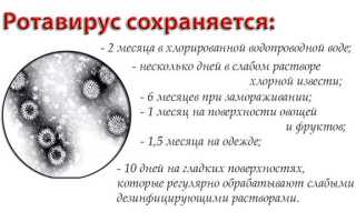 Сколько длится инкубационный период ротавирусной инфекции у детей: от скрытой фазы до периода поправки