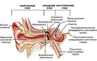 Острая и хроническая сенсоневральная тугоухость
