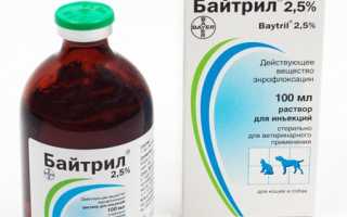 Пневмония у красноухих черепах: симптомы и лечение, советы по содержанию для профилактики заболевания