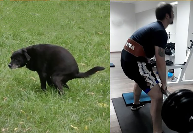 04-No-Back-Problems-Sport