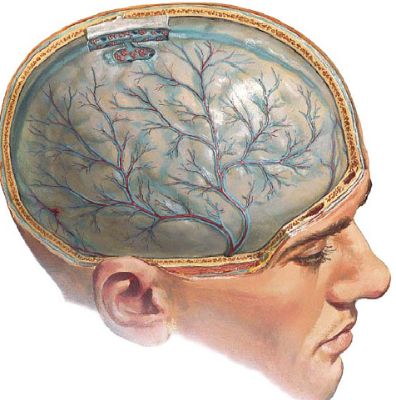 Температура несколько дней и болит спина
