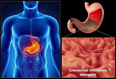 Почему болит спина при переедании
