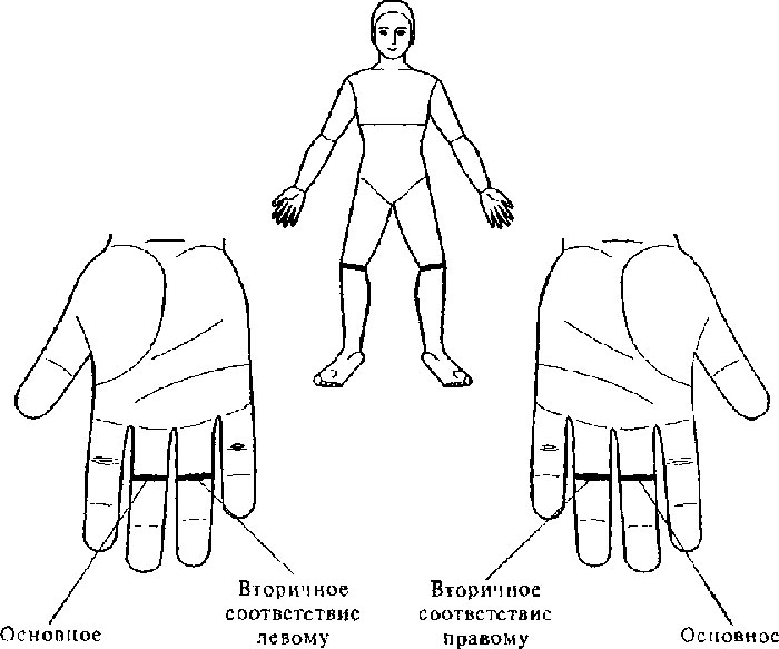 Массаж су-джок для увеличения подвижности суставов