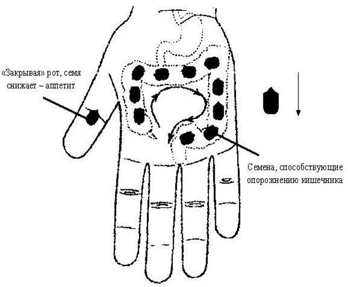 Очистка кишечника по методике су-джок