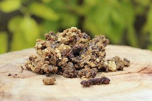 Настойка прополиса от болей в спине