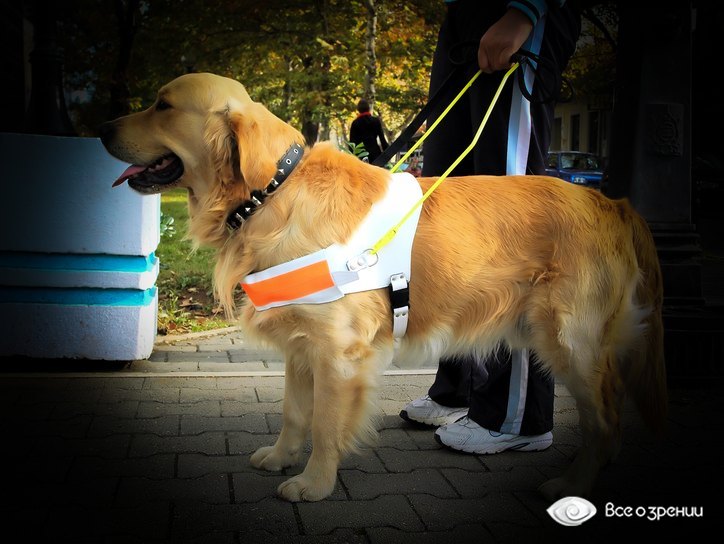 зрение при глаукоме zrenie-pri-glaukome.jpg